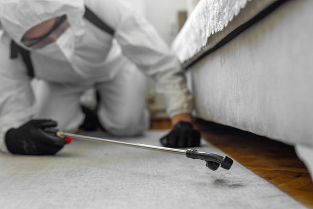Professional Pest Control technician working in Elk City, OK