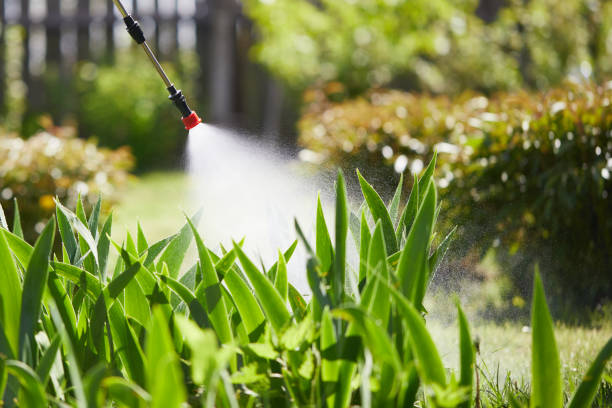 24/7 Emergency Termite Control experts in Elk City, OK