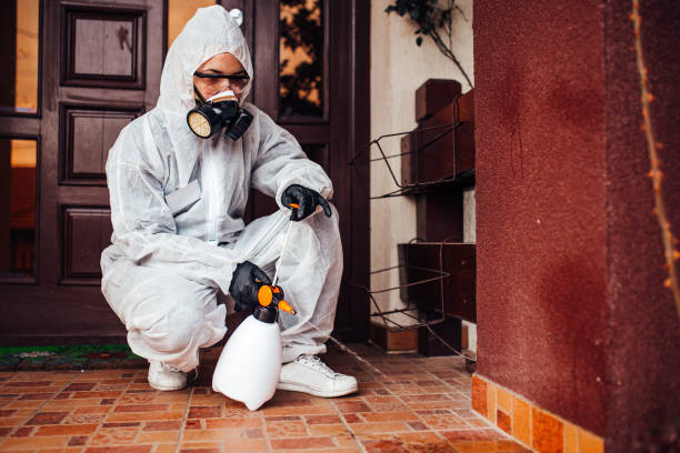 Reliable Termite Control contractor in Elk City, OK by Nex Pest Control