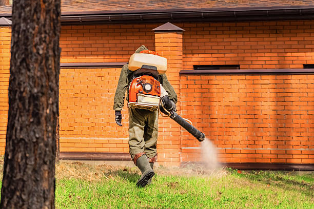 Trusted Bed Bug Control service in Elk City, OK - Nex Pest Control